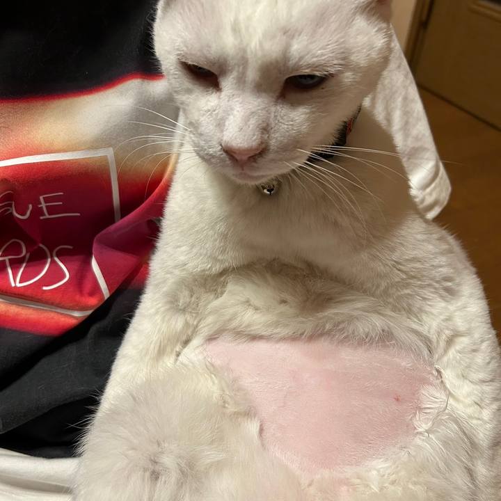 9a43073e 1dfa 4e75 9b7b 14f91307f0bf 1685619738407