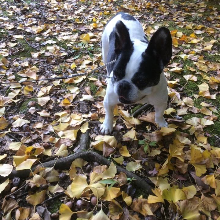 9a4348d7 9a59 44ab b3b2 6d6bf0a19d95 1636302372491