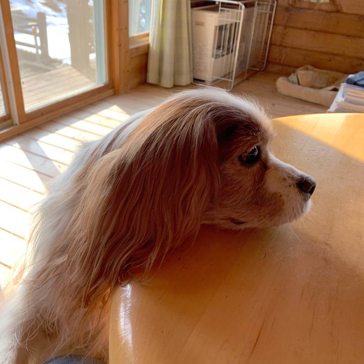 9a4350c8 76ce 450c 84de b424f4c868ff 1582245020783