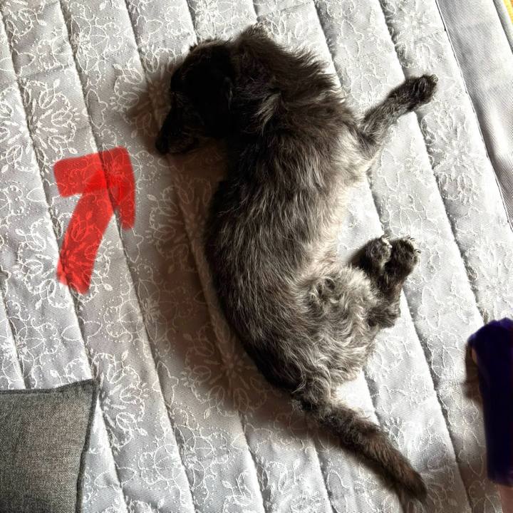 9a437a39 7550 4977 ad9d b014b29a3d2f 1752447727136