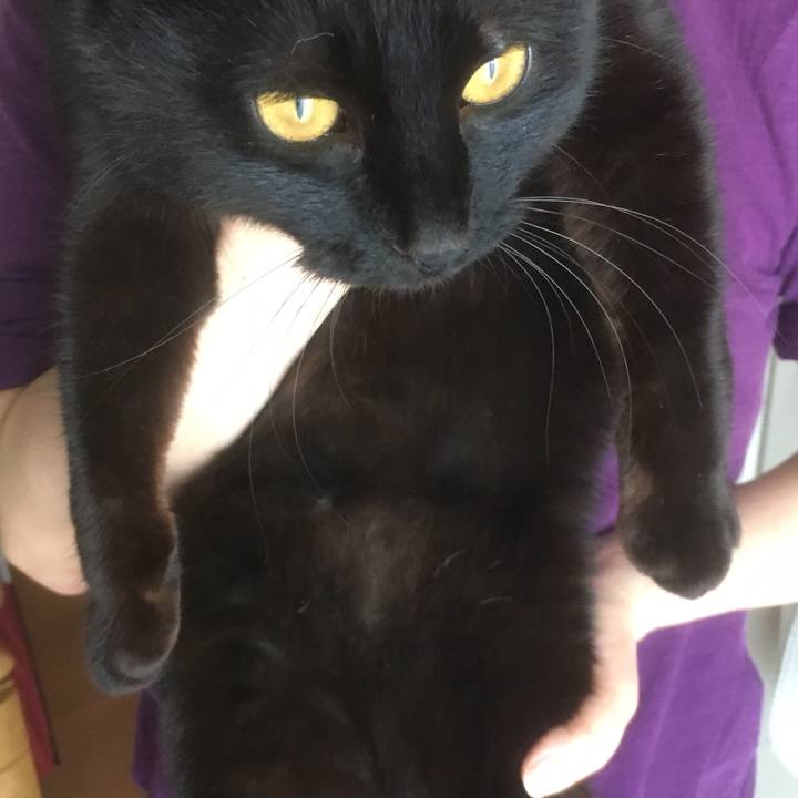 9a438f04 9bab 429a 8837 7feb32f59f2e 1524138228511