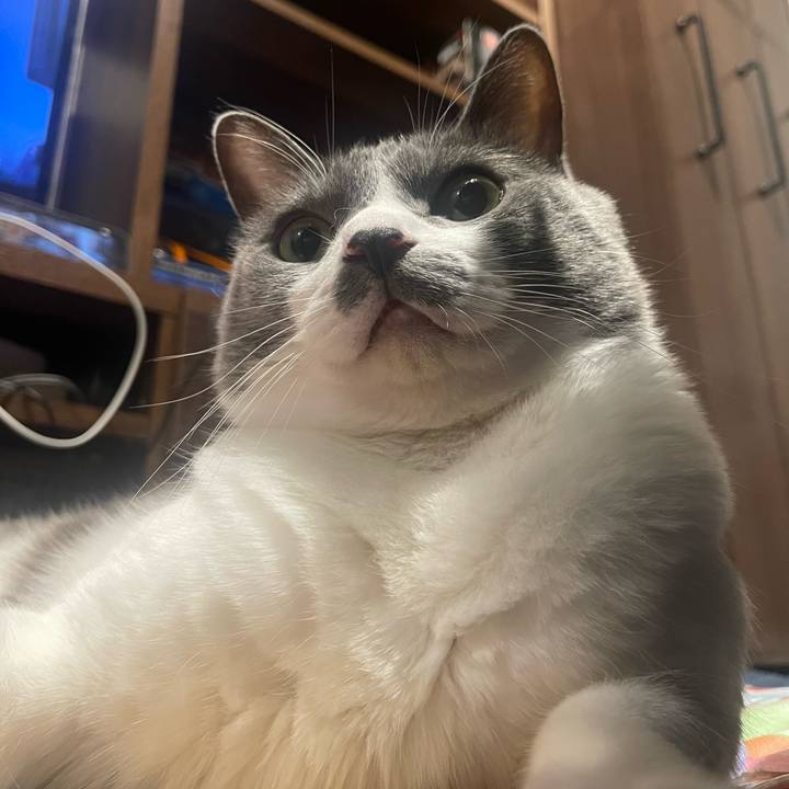 9a439000 3ee7 4ba3 aeb4 be9bdbd17f0c 1697629716140