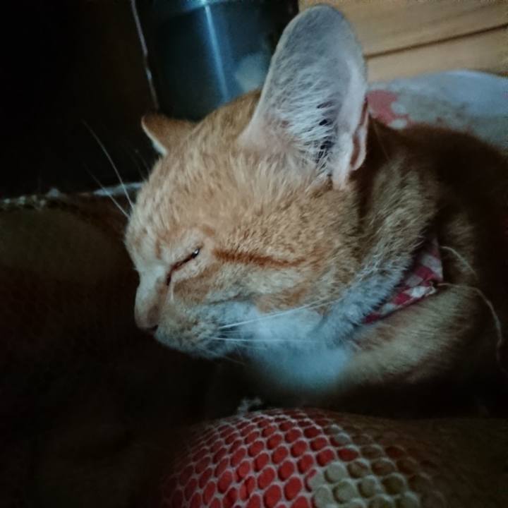 9a439294 2d78 4dbf a1a8 ab44dbd0d3b9 1562702302056