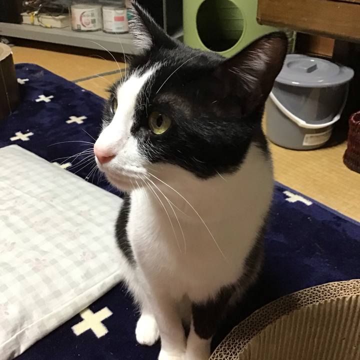 9a43b351 3c0e 48cc a3cc 9d4b112661a6 1714039920588