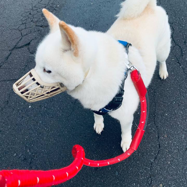 9a43e80d 64b1 496c bd63 648c40f4090e 1661980670355