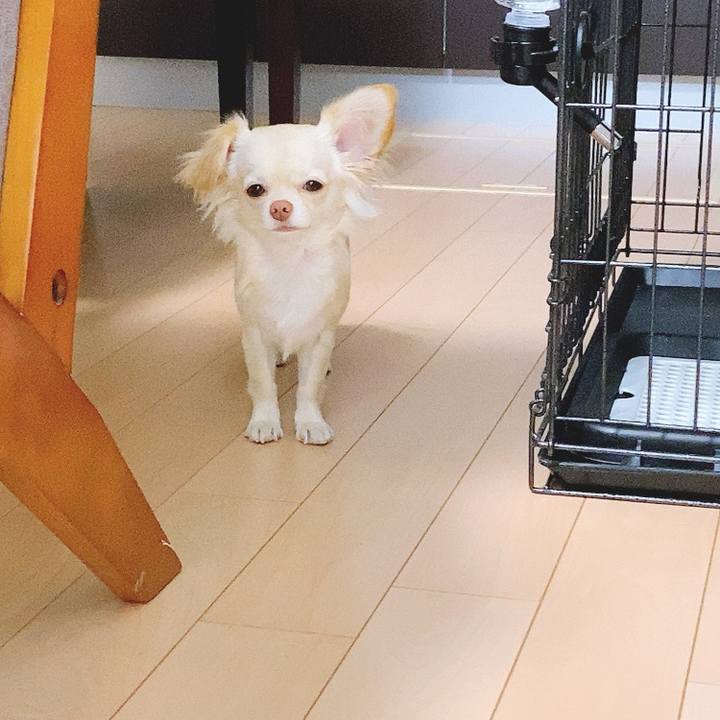 9a43f417 6dfb 4353 95c3 bc855e1c289a 1609908803746