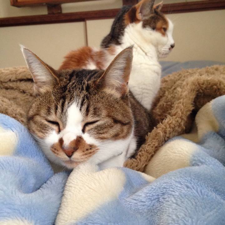 9a43fde4 e866 4649 ac32 14c75c89c82b 1519285935131