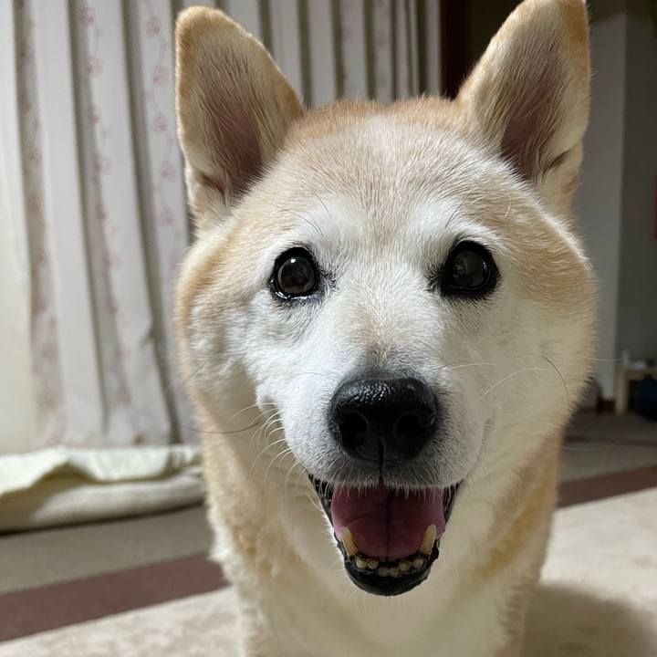 9a443287 57e9 4bc9 b652 49001447acd2 1702371952189