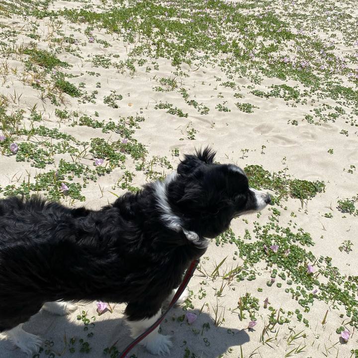 9a44c750 99d9 48cc 964c 3f89661bc594 1682911897525