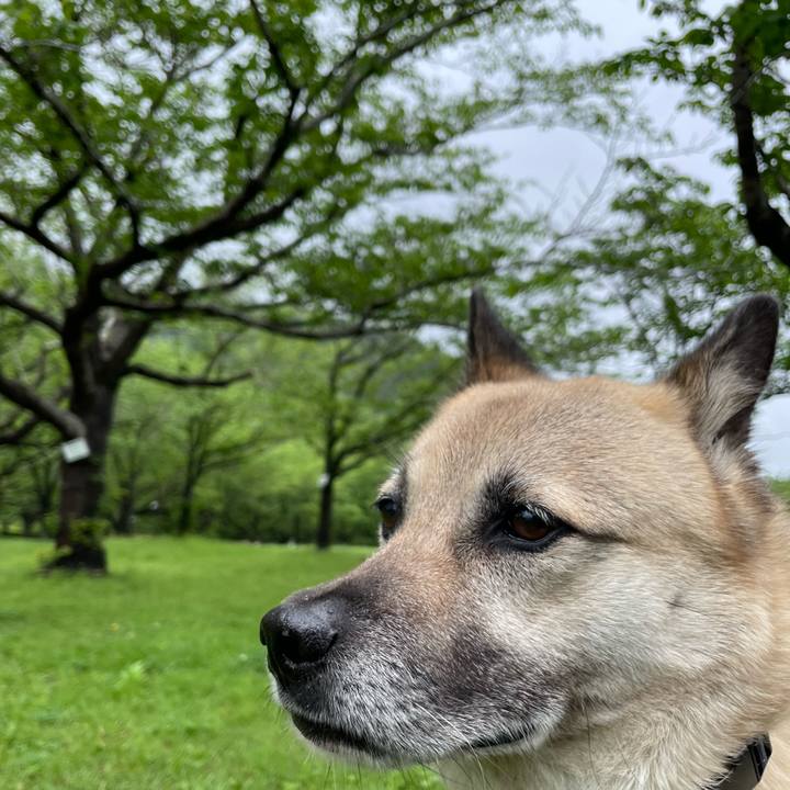 9a44f838 51cb 4197 be0e 14c377439ba8 1714391826125