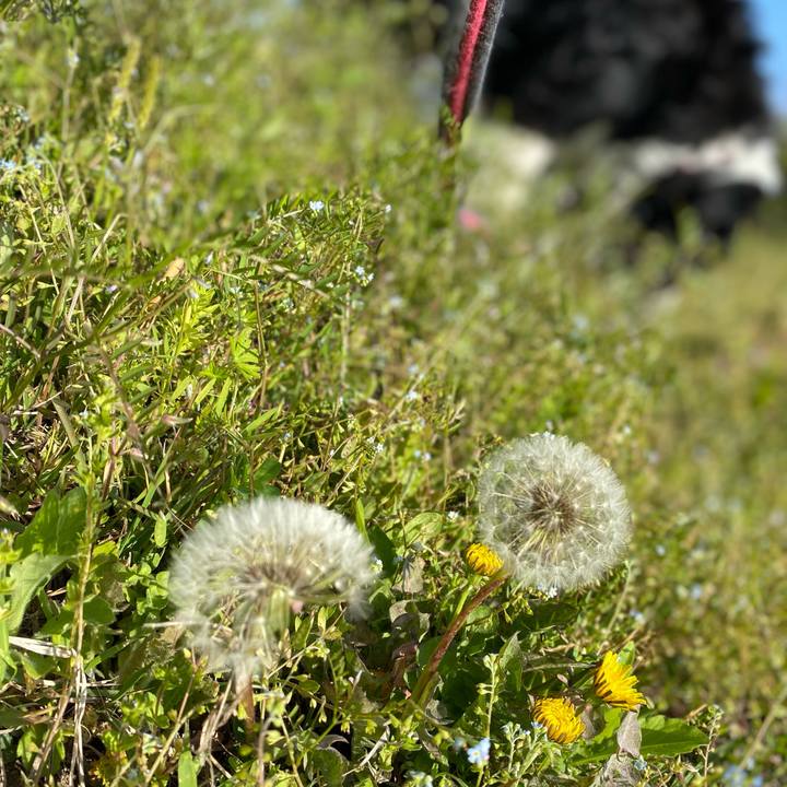 9a451ccc 2da2 415c b359 70546a379d7a 1649460571069