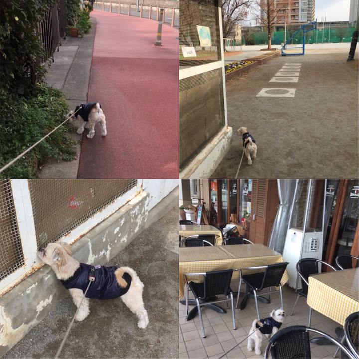 9a452397 a055 4012 a60c cb95a45b51b5 1545878663724