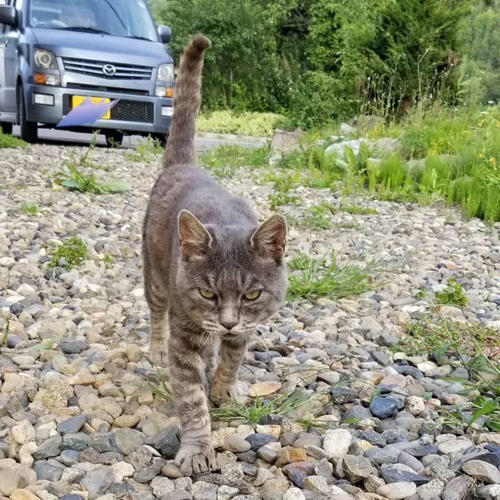 9a454604 29a0 4cf9 90a3 15e36fce6141 1536411152778