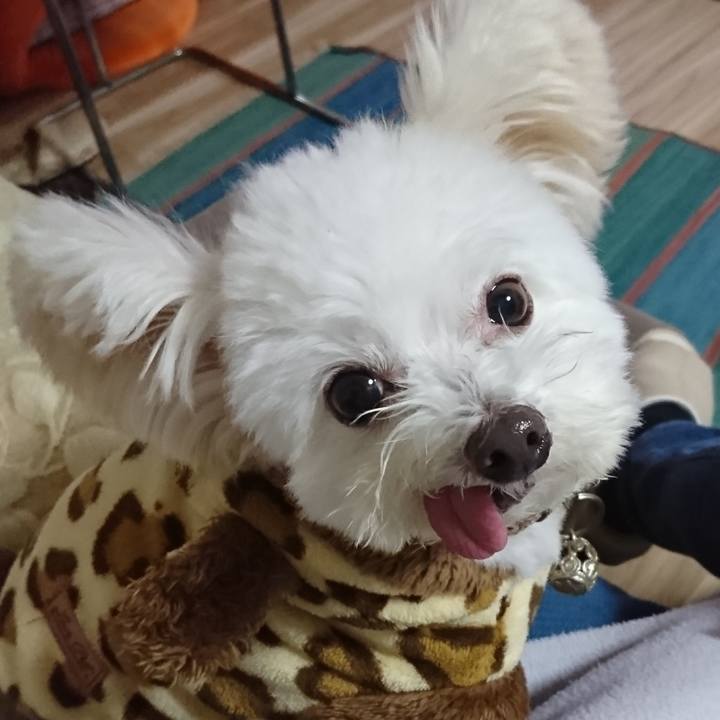 9a456760 9814 4177 93cf 424f14d0ebb5 1574324956437