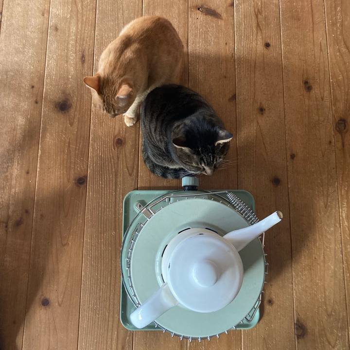 9a45db37 b841 40bb 904a 6dd5a535b3f9 1704585428179