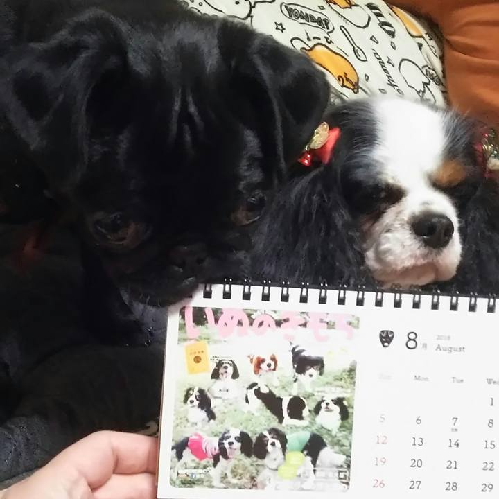 9a461994 c396 4692 ada9 bbdbb731fb69 1514030459245