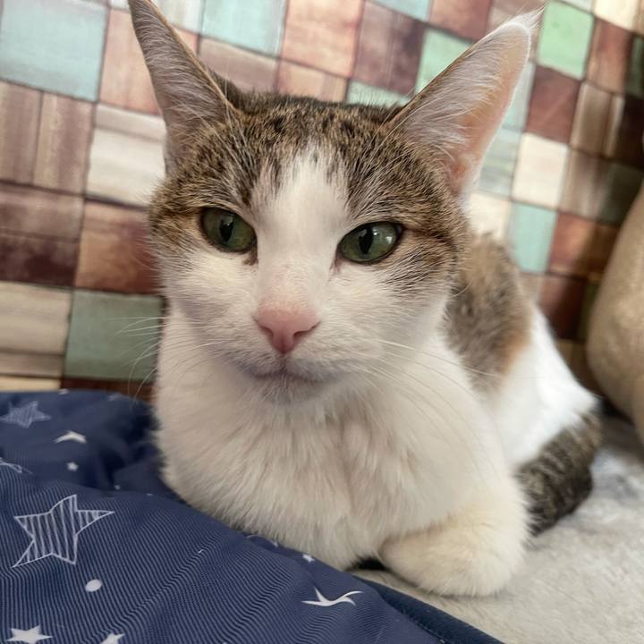 9a464421 fe15 454a 9d79 6c65e58925d2 1640653191753