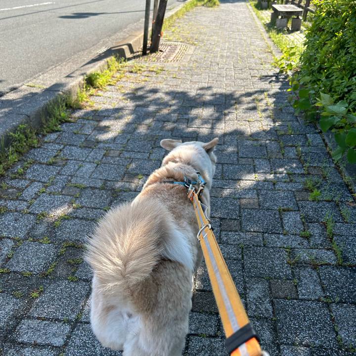 9a465931 46fd 4910 965e 0ec8c836993b 1747889405985