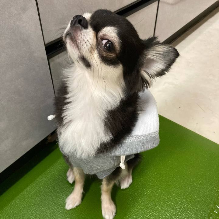 9a4659a7 f322 45a5 a65f cbbd17e46d0b 1645848814984