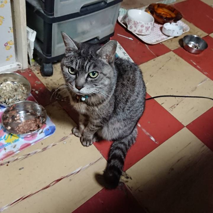 9a465de0 1cb6 4fa0 bfff 54c600a8382b 1551441205307