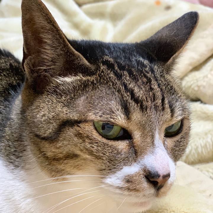 9a466923 03b2 48f7 9fe4 30711dfa279a 1555982023457