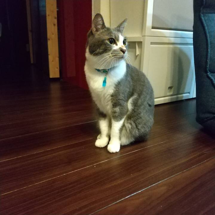 9a467249 e2af 4375 8e44 eed801fbe265 1637272860896