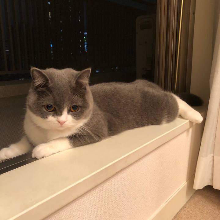 9a469c20 f12e 404f ae0f f5bccf8dffff 1541931548125