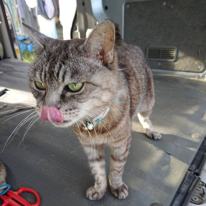 9a46ca77 5606 4bb9 a97e 54232dc890fd 1600028609886