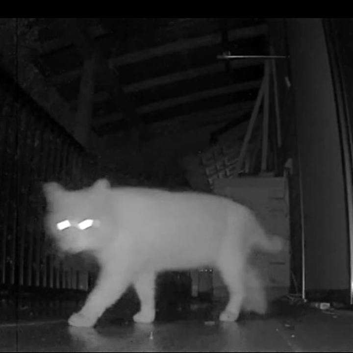 9a46e0c7 c35e 4f34 97a2 0be9685c5ec2 1775820618441