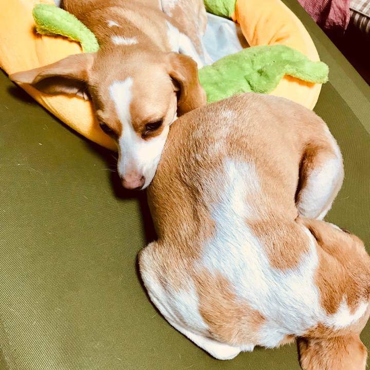 9a472b70 c12d 4885 9d72 ac372ab4160e 1516114368539