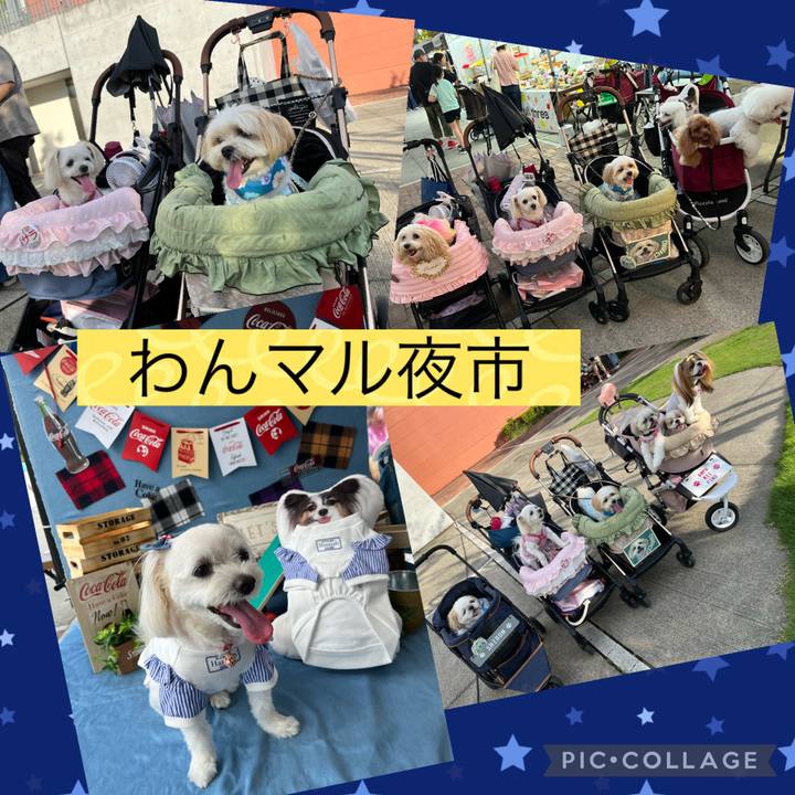 9a478699 2308 45dc b126 0501fd221ed7 1693053275895