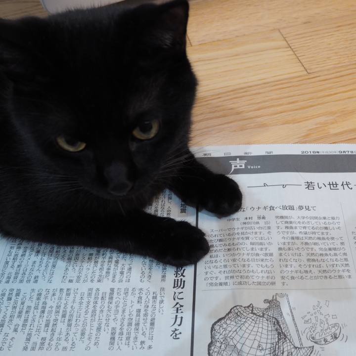 9a47ac88 0ae4 4c49 98d8 ec43848ae2e3 1536411277820