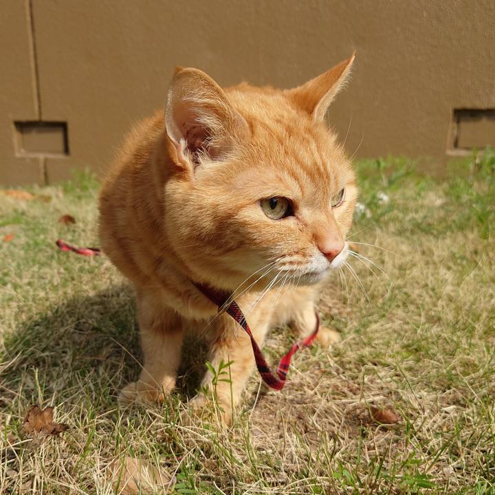 9a47b05a eae3 41dd 9b02 c3c8c06605ca 1774745847018