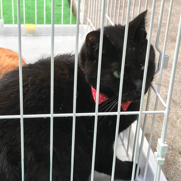 9a47b085 e126 41df 8bff 325bb44192e0 1561247008006