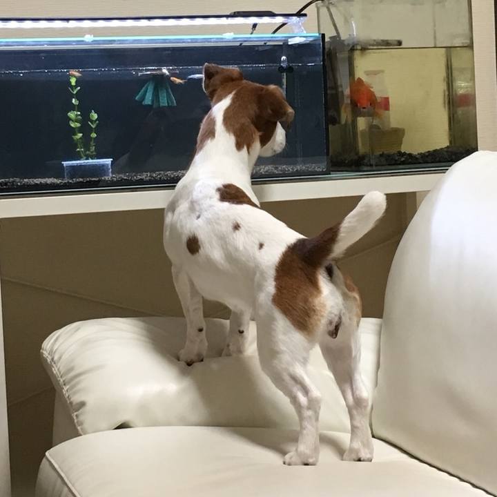 9a47b23a e865 4306 8892 40b0bff98789 1528809455419