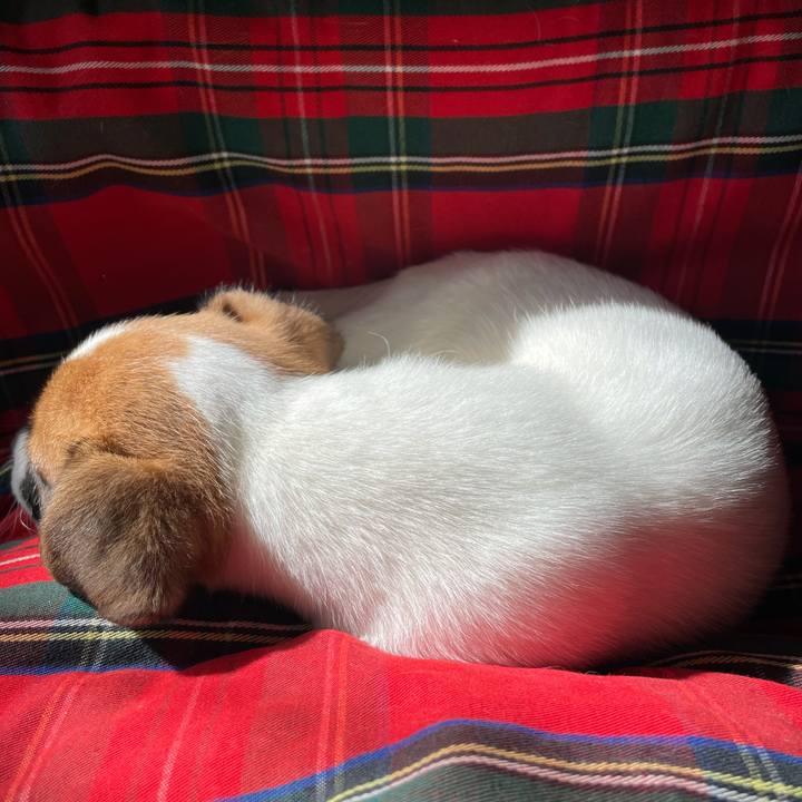 9a47b390 8918 4885 8871 dced78574130 1616044995854