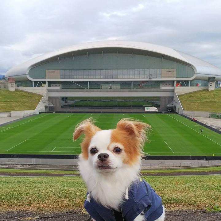 9a47d5f9 986f 4e73 b731 04b6cf1e2c51 1537607441756