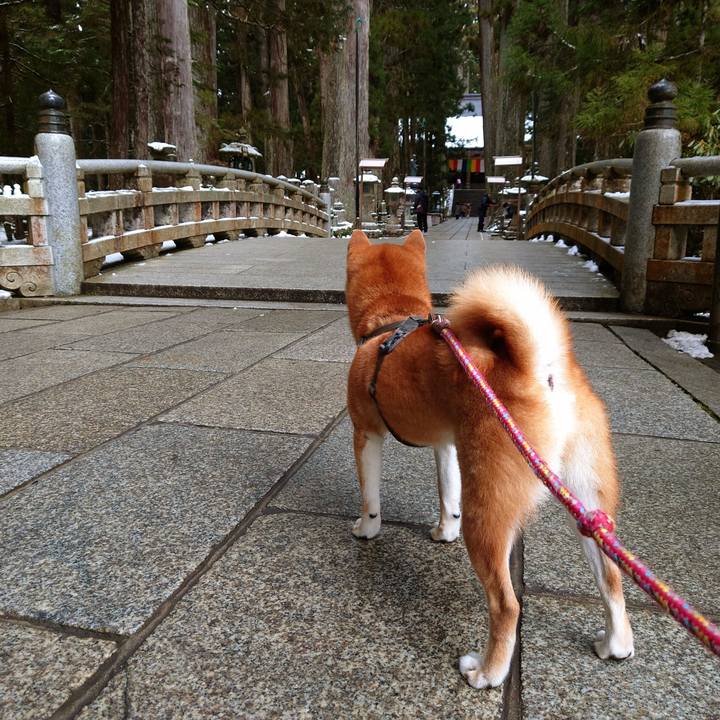 9a47d7f9 7cc6 4a65 9639 9e0cc91cf5c7 1767079363730