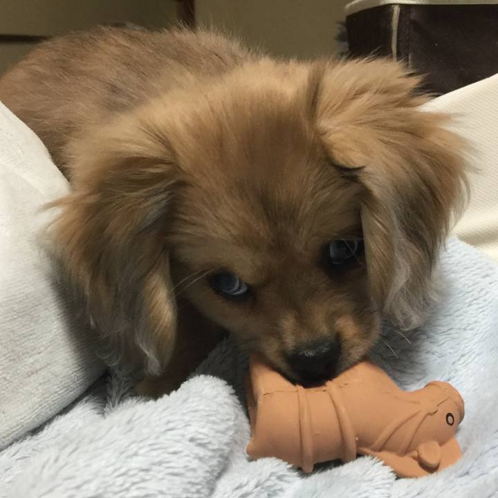 9a47e88e 4b2f 4ed9 a591 dda4d0a93f66 1570786461228