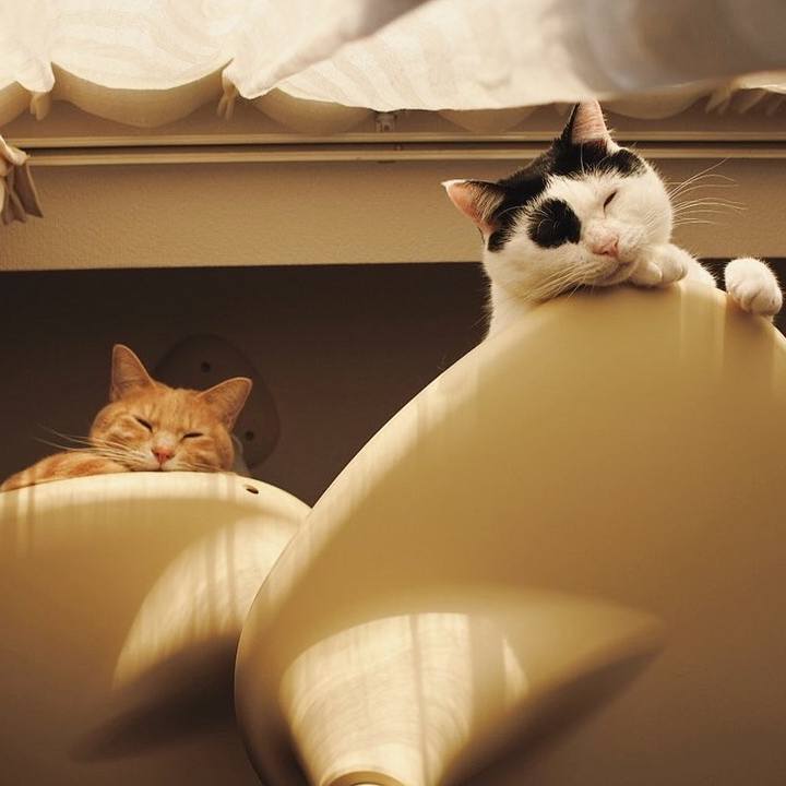 9a48a3b6 3cf1 49fa bdc6 4e02779a22b1 1608734853451