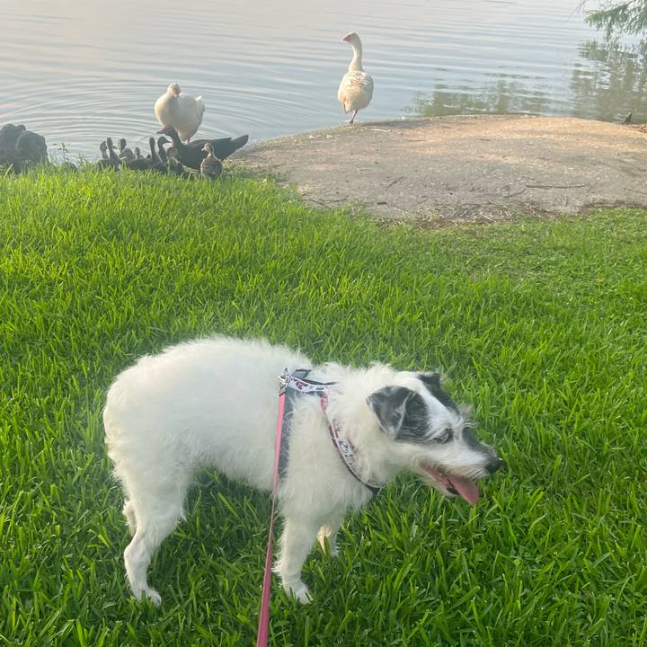 9a48cd32 43e5 4852 9ac5 81d8d6888b17 1684965930188