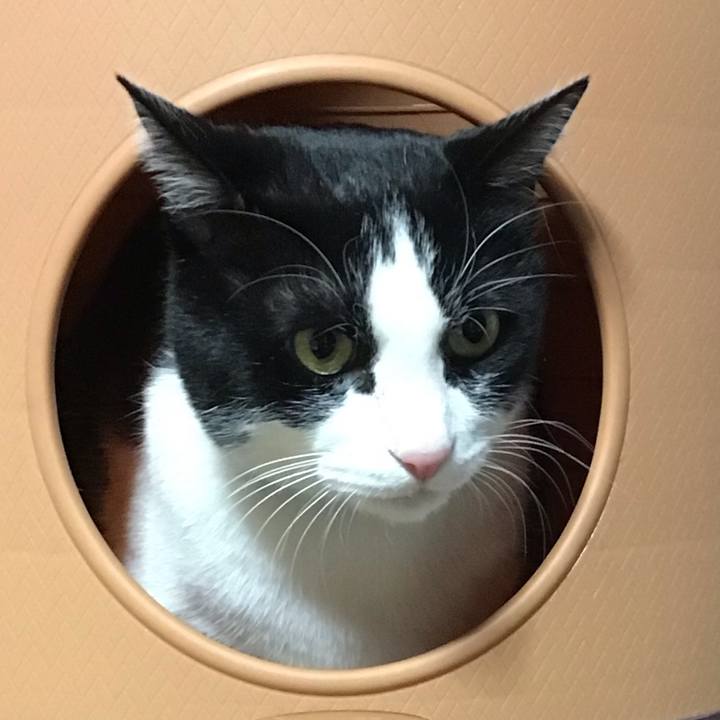 9a48d422 3f74 4f80 8d95 5a8a0508c2fa 1735984348224