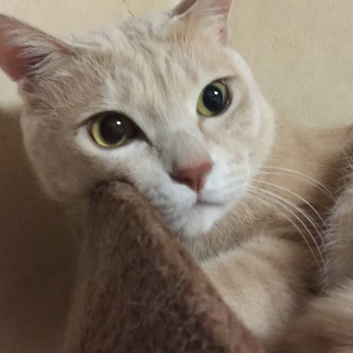 9a48e207 5334 40ca b968 1cfcec8783ee 1548683404772