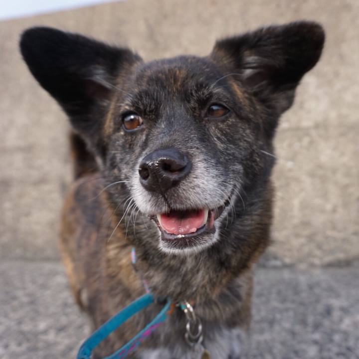 9a490cdb 29aa 4e6d a95a e4d0ebeaa72f 1559564072157