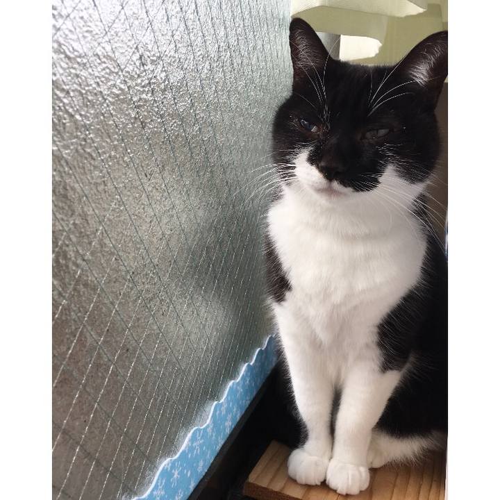 9a49198a 2998 443b bdb3 4360d364a532 1517455100248