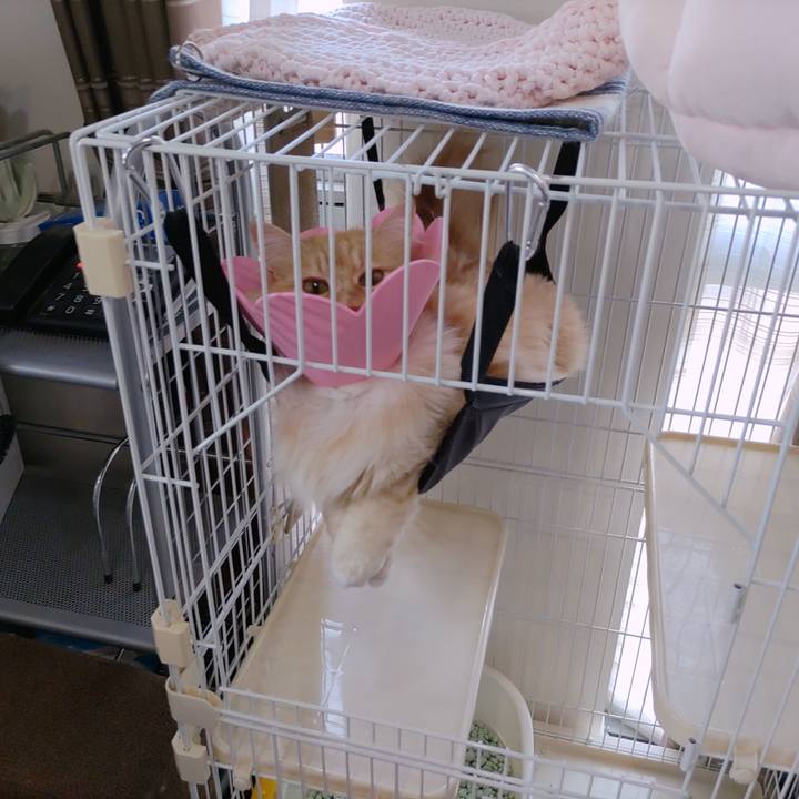 9a493e6f 3303 42d0 9429 9b6817bec6ee 1687249348304