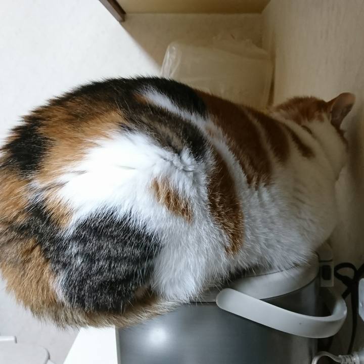 9a498b8c b04c 4d57 9019 2706c37725b6 1512139544729