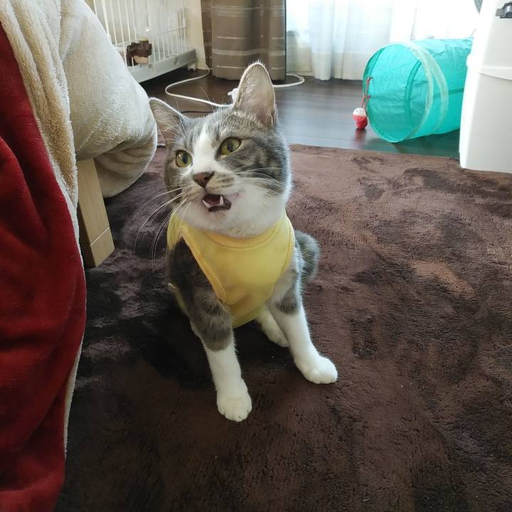 9a49e679 c6a1 43da b2be 3951ecfcbf68 1584313660884