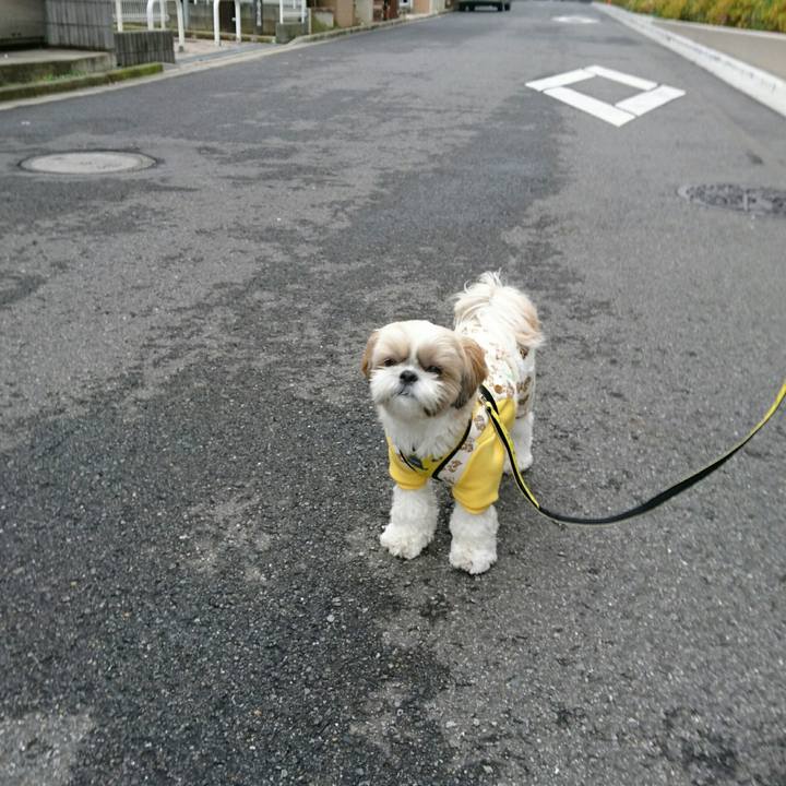 9a4a0efb 4381 4f28 b6d7 9ccc9505e403 1545535610391