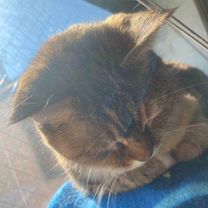 9a4a192d 4787 43a3 b3d4 c4e937285cba 1738986701488